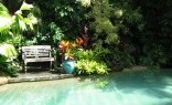 Amico - The Garden Managers Bali Style Landscaping