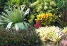 Port Botanyplanting-garden-and-landscape-design-24.jpg; ?>